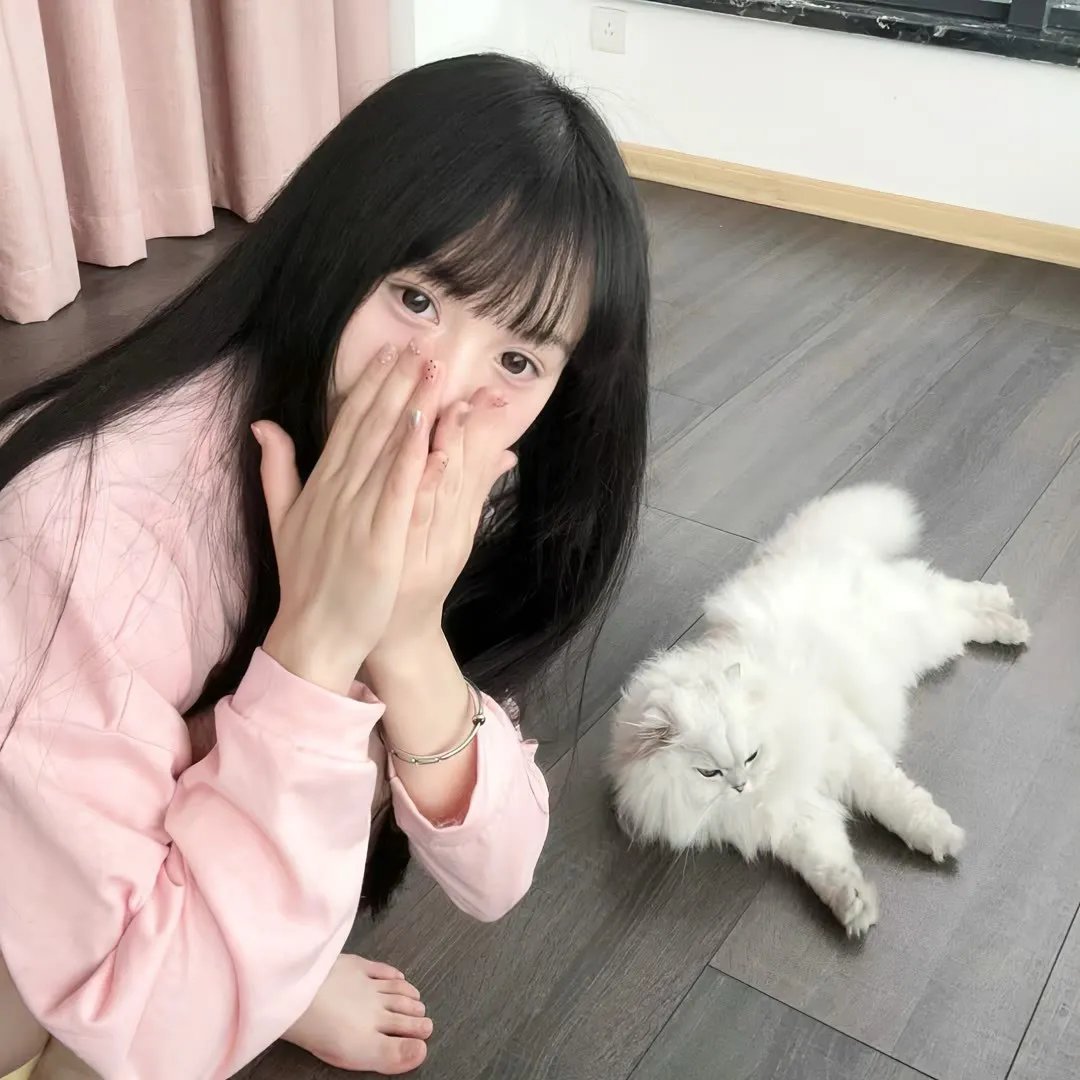 疯狂的狮王